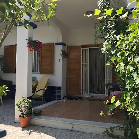 Dom wakacyjny Отдых В Испании И Аренда Жилья Torrevieja