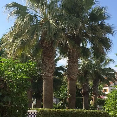 Dom wakacyjny Отдых В Испании И Аренда Жилья Torrevieja